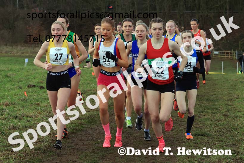 Junior Womens 2024 Northern Cross Country Champs., Sedgefield. Photo: David T. Hewitson/Sports for All Pics